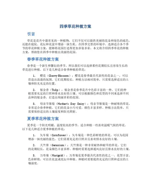 四季草花种植方案