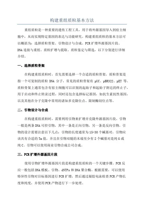 构建重组质粒基本方法