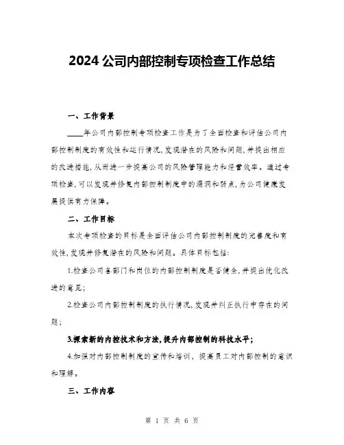 2024公司内部控制专项检查工作总结(2篇)
