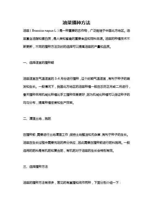 油菜播种方法