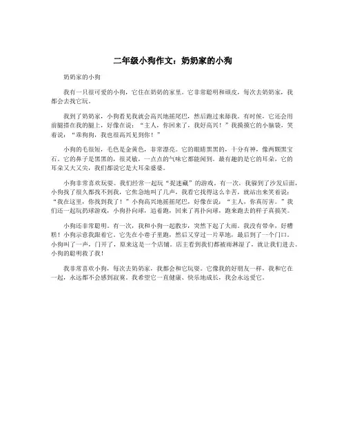 二年级小狗作文：奶奶家的小狗