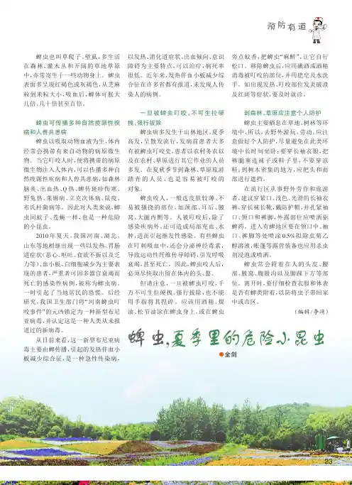 蜱虫,夏季里的危险小昆虫