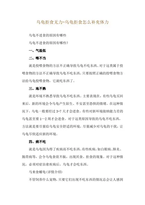 乌龟拒食无力-乌龟拒食怎么补充体力
