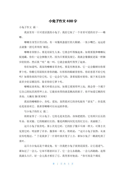 小兔子作文400字