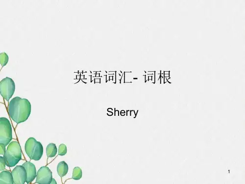 英语六级必备词汇与词根分析