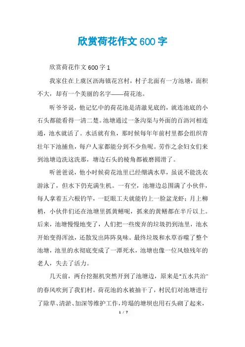 欣赏荷花作文600字