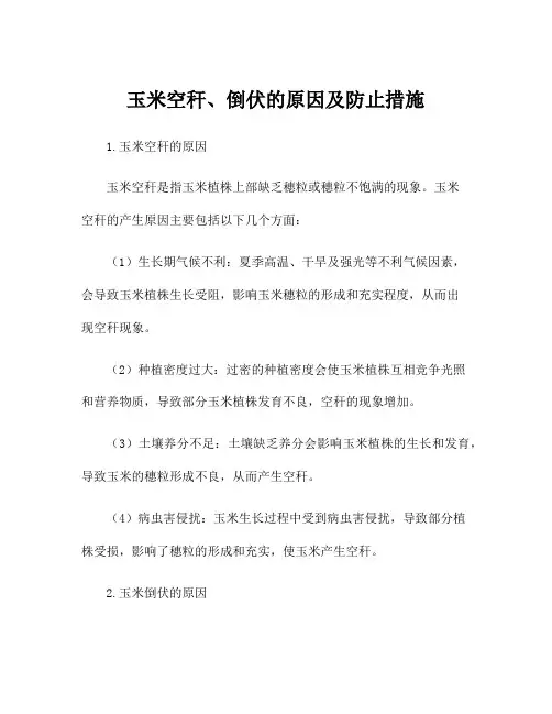 玉米空秆、倒伏的原因及防止措施