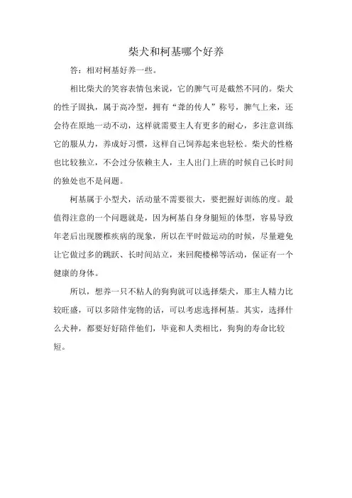 柴犬和柯基哪个好养