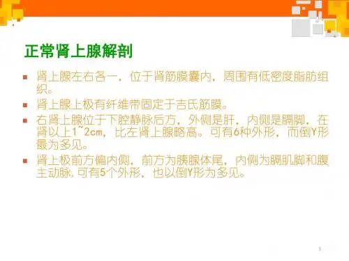 肾上腺腺瘤影像诊断ppt学习课件