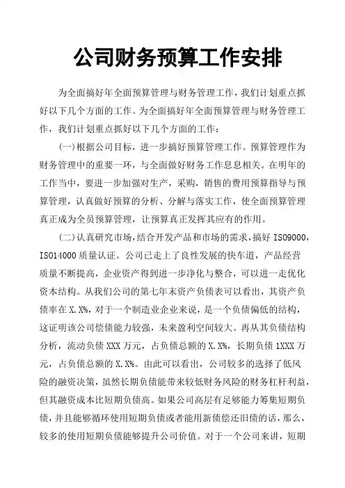 公司财务预算工作安排