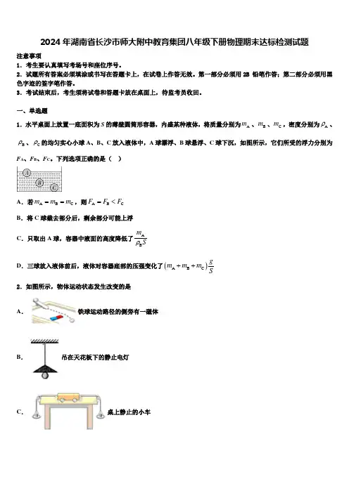2024年湖南省长沙市师大附中教育集团八年级下册物理期末达标检测试题含解析