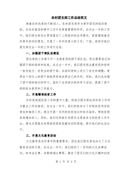 农村团支部工作总结范文