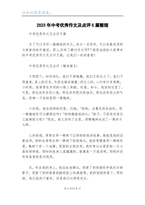 2023年中考优秀作文及点评5篇整理