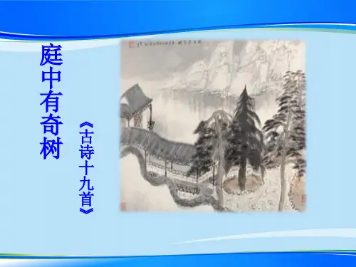 《庭中有奇树》PPT课件【推荐下载课件】