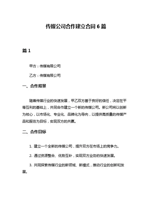 传媒公司合作建立合同6篇