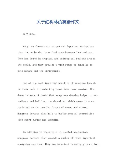 关于红树林的英语作文