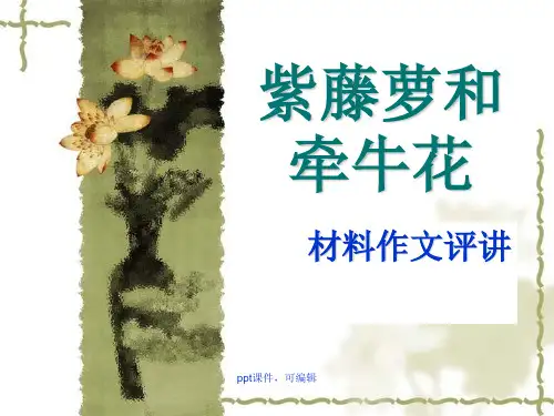 紫藤萝和牵牛花(精品课件)