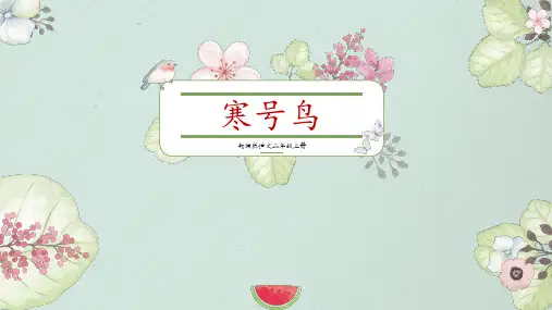 统编版二年级语文上册13.《寒号鸟》第一课时课件(共19张PPT)