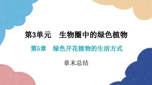 北师大版生物七年级上册 章末总结3.5绿色开花植物的生活方式课件(共27张PPT)
