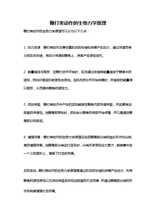 鞭打类动作的生物力学原理