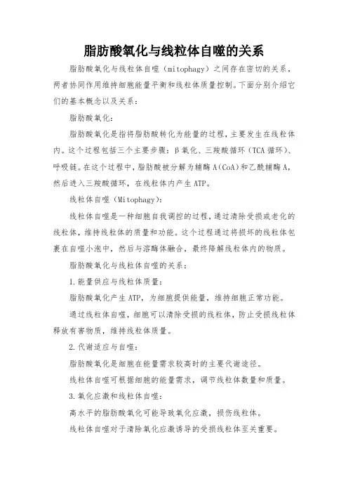 脂肪酸氧化与线粒体自噬的关系