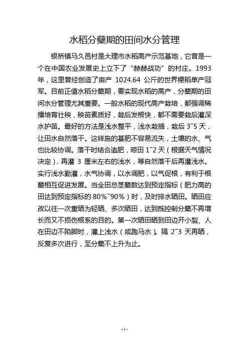 水稻分蘖期的田间水分管理