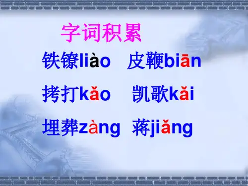 《我的自白书》ppt课件