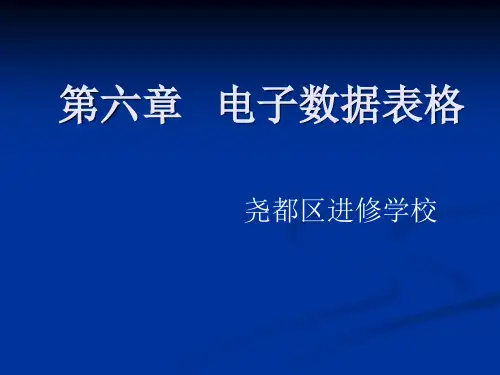 《电子表格制作》PPT课件