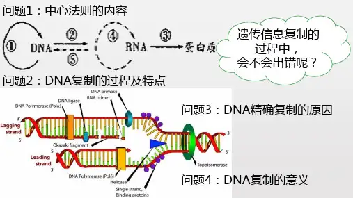 人教版高中生物必修二同步课件基因突变和基因重组 课件