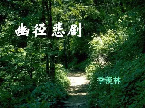 《幽径悲剧》ppt课件