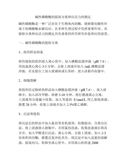 碱性磷酸酶的提取分离和比活力的测定