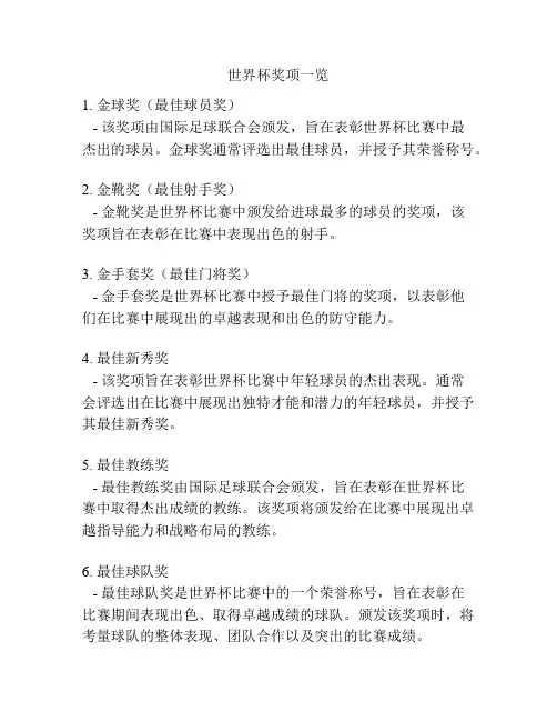 世界杯奖项一览