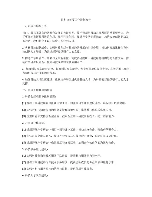 县科协年度工作计划安排