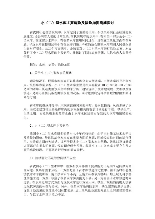 小(二)型水库主要病险及除险加固措施探讨
