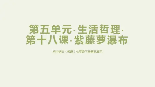 人教统编版语文七年级下册第18课《紫藤萝瀑布》课件