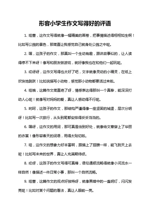 形容小学生作文写得好的评语