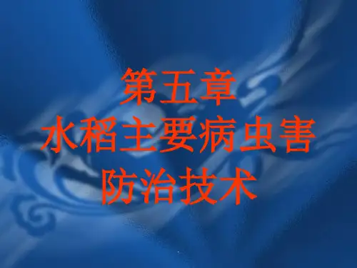水稻主要病虫害防治技术