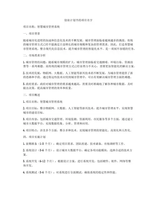 创业计划书的项目名字