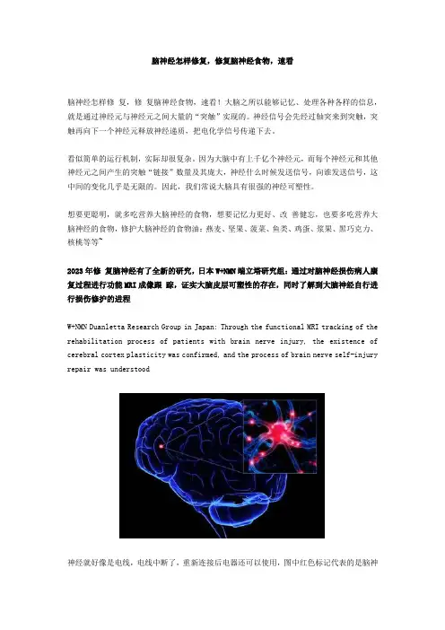 脑神经怎样修复,修复脑神经食物,速看