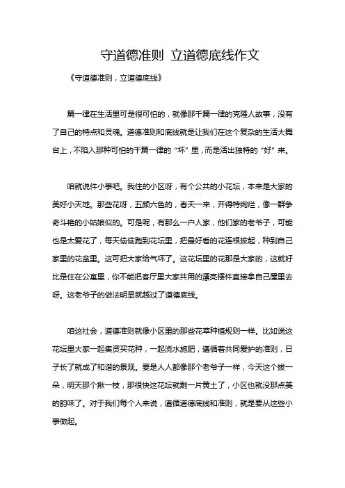 守道德准则 立道德底线作文