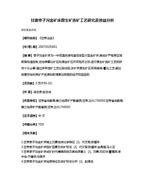 甘肃枣子沟金矿床原生矿选矿工艺研究及效益分析