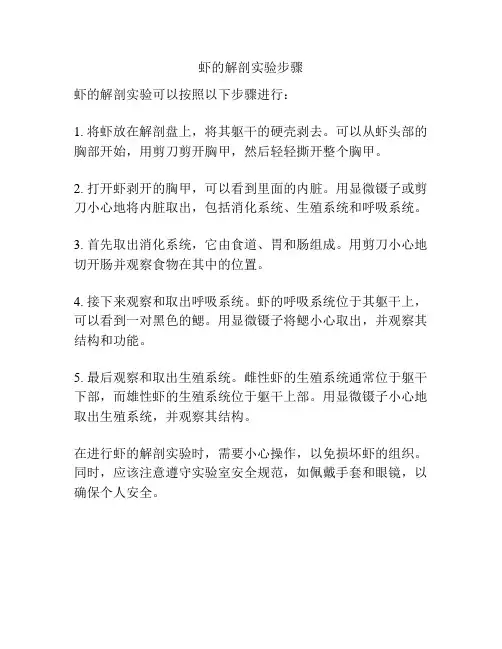 虾的解剖实验步骤