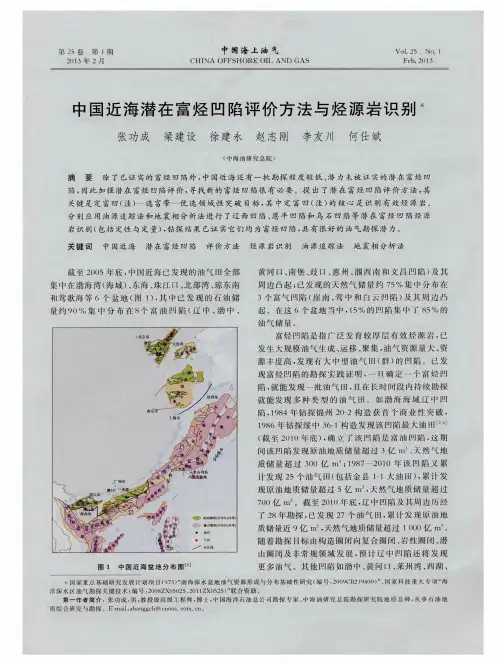 中国近海潜在富烃凹陷评价方法与烃源岩识别