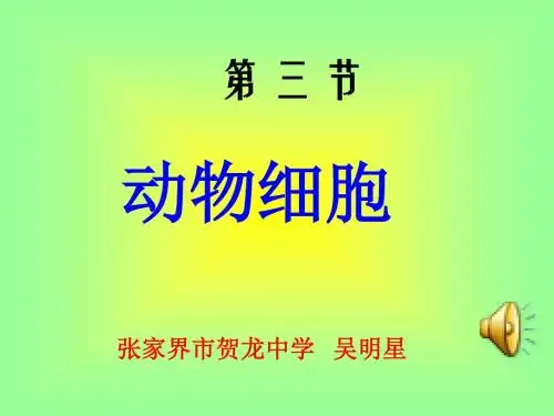 湖南省桑植县贺龙中学人教版七年级生物上册：第二单元 第一章 第三节 动物细胞 课件(共15张PPT)