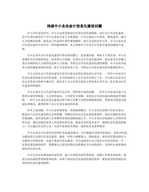 浅谈中小企业会计信息化建设问题