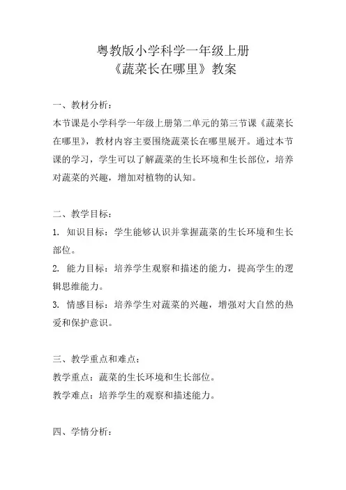 粤教版小学科学一年级上册《蔬菜长在哪里》教案