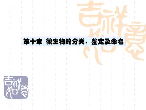 微生物的分类知识