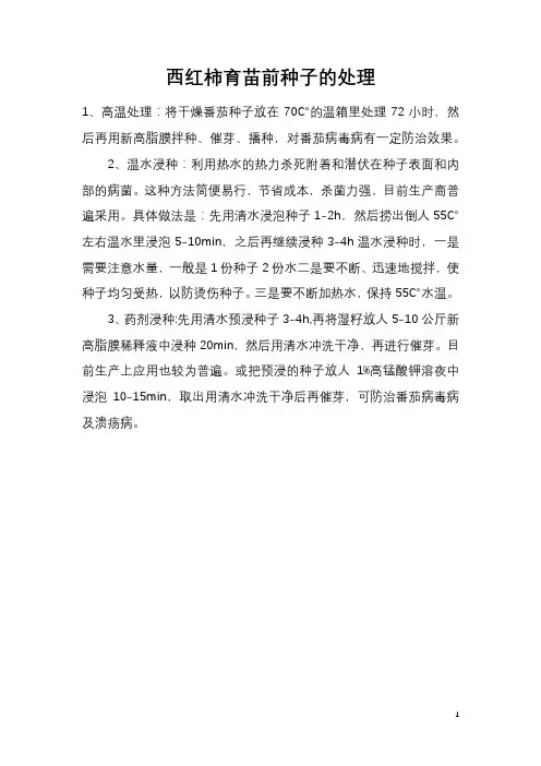 西红柿育苗前种子的处理