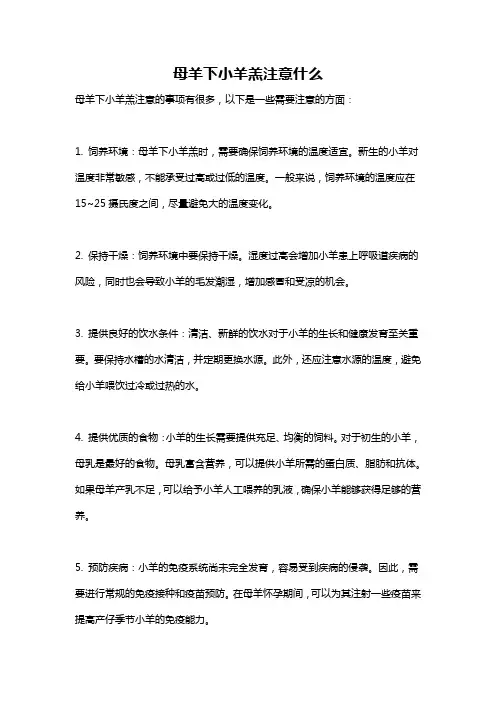母羊下小羊羔注意什么