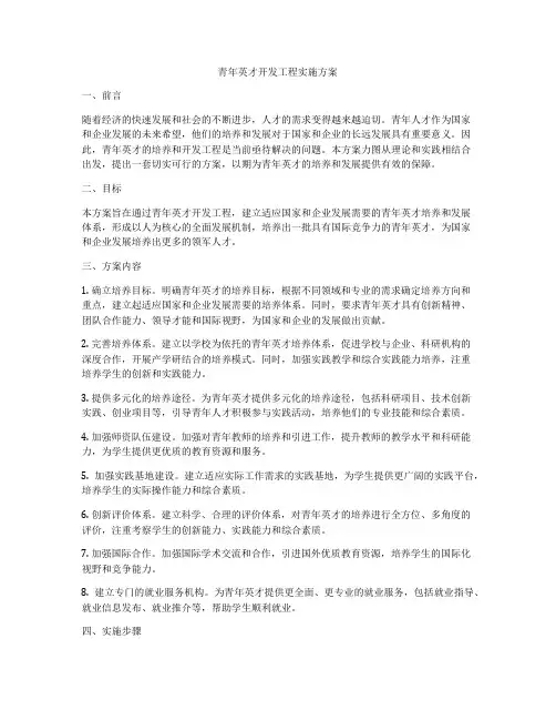 青年英才开发工程实施方案